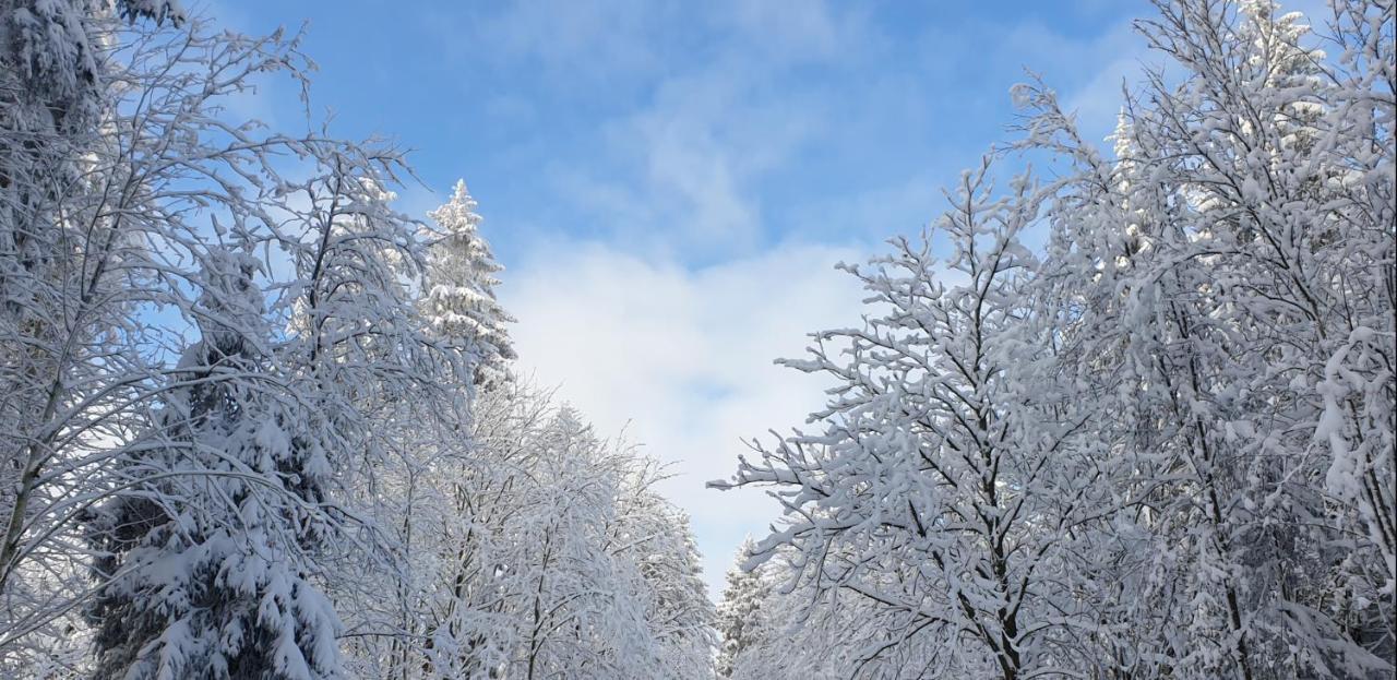 Ferienwohnung Merle in Winterberg-Altastenberg Exterior foto